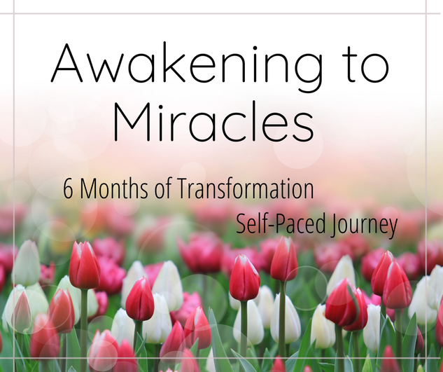 Awakening To Miracles Rebecca Quave